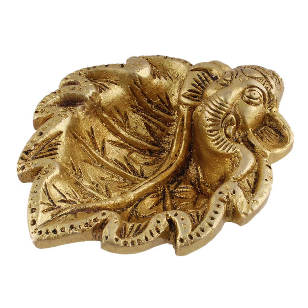 Product Details & Build Quality