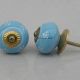 Turquoise Floral Knob