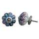 Osteospermum Knob