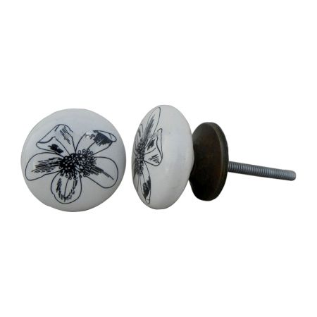 Lilium Flat Knob