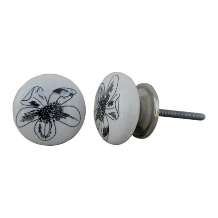 Lilium Flat Knob