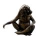 Bronze Chimp