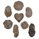 Set of 8 Piece New Mix Wooden Printing Block