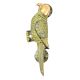 Parrot Brass Pull Door Handle