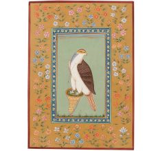 Indian Falcon Miniature Art  Painting