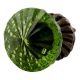 Olive Green Glass Dresser Knob Online