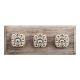 Black Sea Shell Square Ceramic Wooden Hooks