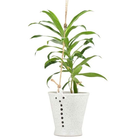 Offwhite Ceramic Bucket Planter