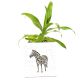 Ceramic Offwhite Zebra Bucket Planter