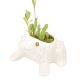Ceramic  White Hand Crafted Miniatures Frog Flower Pots