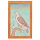 A Fine Anglo-Indian Hawk Print For Gifting