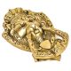 Royal Brass Lion Face Door Knocker