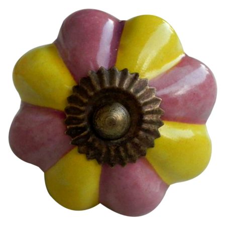 Yellow Pink Knob