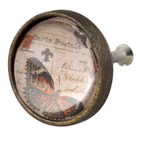 Butterfly Inside  carte postale Round Iron Glass Cabinet Knobs