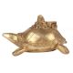 Handmade Brass Turtle Storage Box