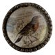 Sparrow Inside Round Iron Glass Dresser Knob