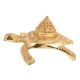 Brass Turtle With Storage Box With Stupa