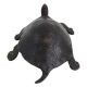 Intricately Carved Black  Brass Turtle Figurine Feng Shui Gift