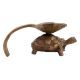 Akhanad Brass Oil Diya On Turtle Back