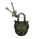 Brass Lion Shape Lock with Keys In Patina Finish