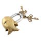 Golden Fish Lock With Skeleton Key In Pair