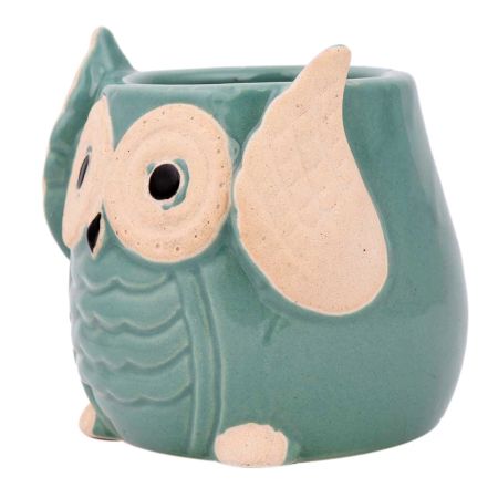 Teal Blue Painted Owl Ceramic Pot Planter