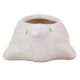 Handmade White Ceramic Tortoise Shape Planter