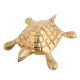 Brass Small Turtle - A Gift Of Wisdom And Knowledge