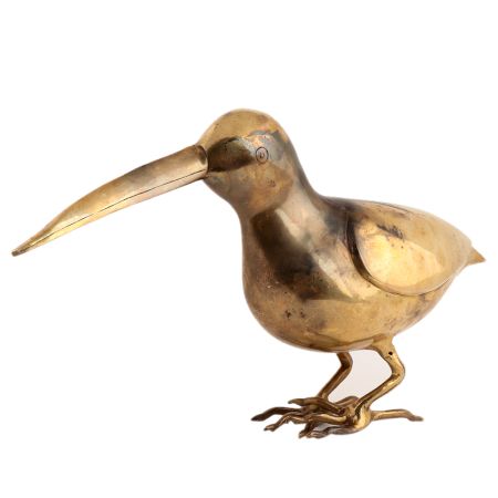Bird With Long Beak