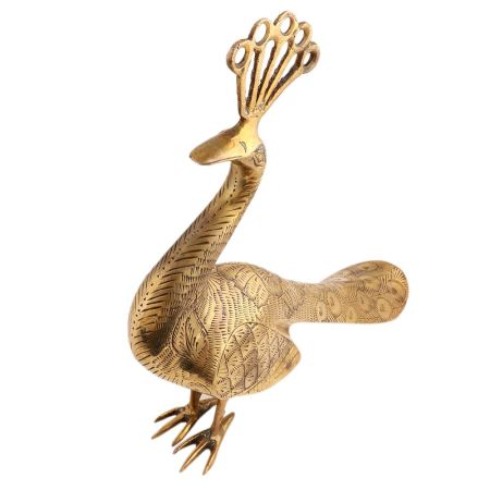 Peacock with Fine Craving- Amazing Detailed Version