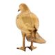 Pigeon Bird in Brass