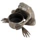 Handmade Black Brass Frog Holding Small Planter