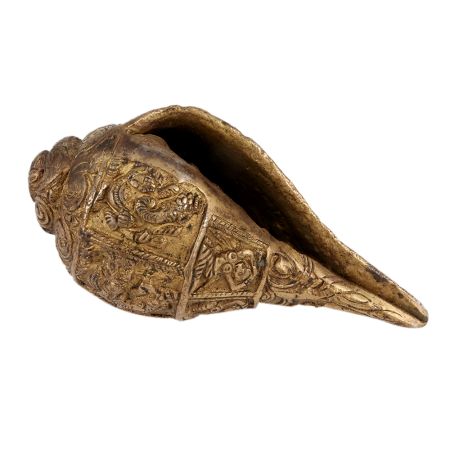 Brass Engraved Conch Shell Decor Ornament In Golden Finish