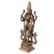 Black Brass Standing Laxmi Statue