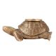 Brass Turtle Candle holder
