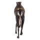 Brass Standing Camel Statue In Black Finish
