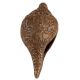 Brass God Images Carved Conch Shell