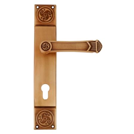Elegant Brushed Brass Mortise Office Or Front Door Handle