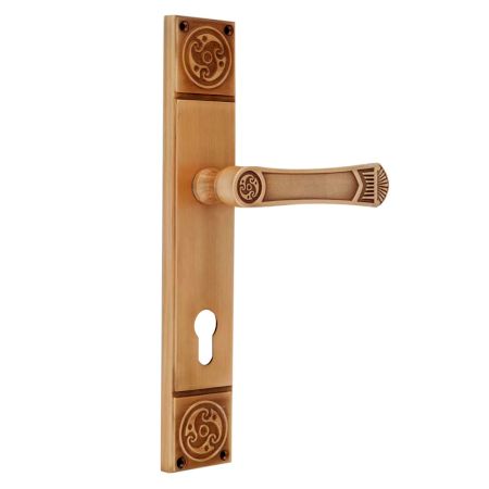 Elegant Brushed Brass Mortise Office Or Front Door Handle