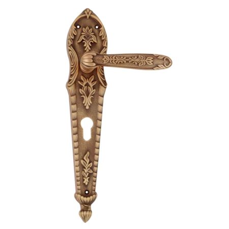 Antique Brass Mortise Door Handle