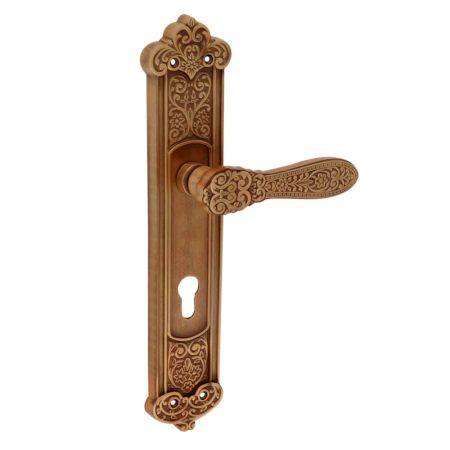 Golden Brass Mortise Handle For Exterior Doors