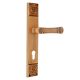 Elegant Brushed Brass Mortise Office Or Front Door Handle