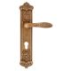 Decorative Antique Brass Fiorenza Mortise Door Handle