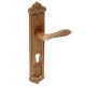 Decorative Antique Brass Fiorenza Mortise Door Handle