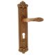 Decorative Antique Brass Fiorenza Mortise Door Handle