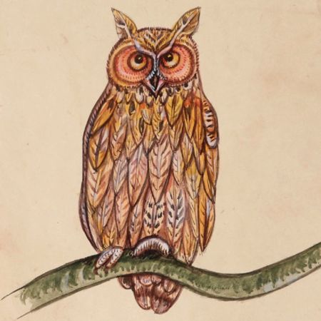 Horned owl Miniature Watercolor Painting