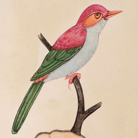 Colorful Cute Bird Miniature Watercolor Painting