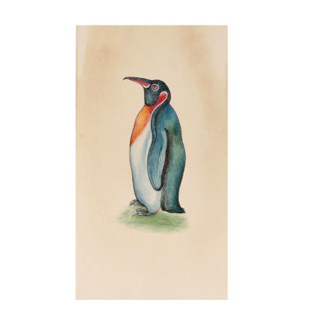 Flightless Bird Penguin Miniature Watercolor Painting
