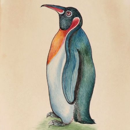 Flightless Bird Penguin Miniature Watercolor Painting
