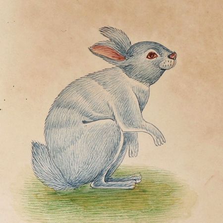 Miniature Bunny Rabbit Watercolor Painting